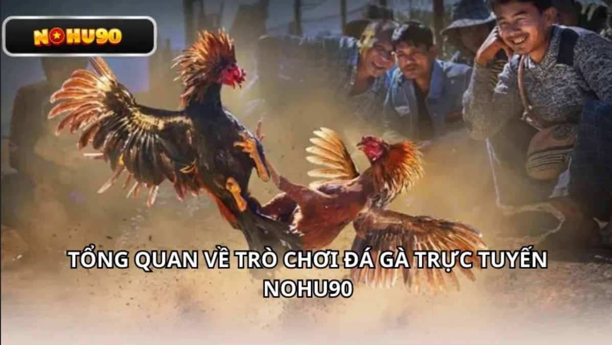 Đá gà Nohu90 cuốn hút bàn bản chuyên nghiệp