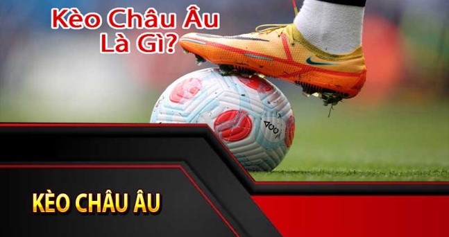 Xác định chính xác thời gian đầu tư tiền để tăng tỷ lệ thắng